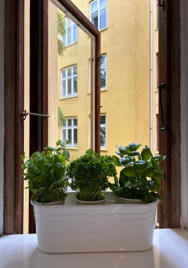 Apartment Lejlighed I Vesterbro- Dybbolsgade Kopenhagen